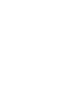 FemJoy