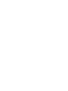 BJRaw