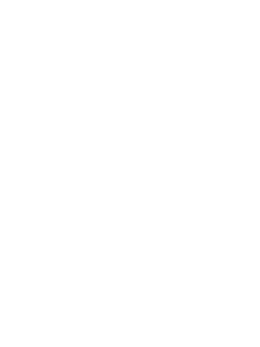 Naughtyamerica