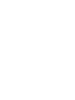 VogoV