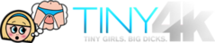 Tiny4K