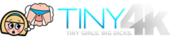 Tiny4K
