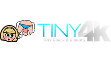 Tiny4K