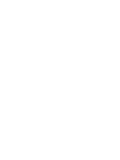 NFBusty