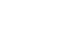NFBusty