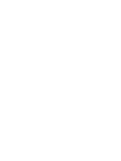 BBCParadise