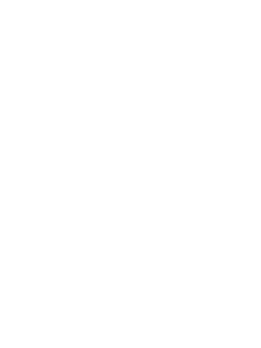 MissaX