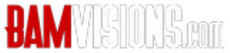 BAMVisions