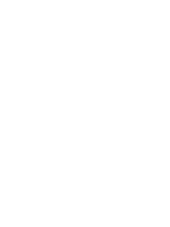 BSKow