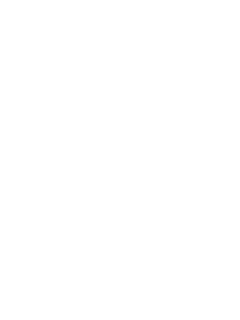 SexWithMuslims