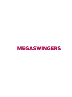 CzechMegaSwingers