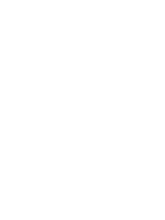 BumsBus