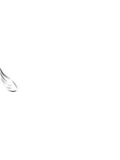 Divine-DD