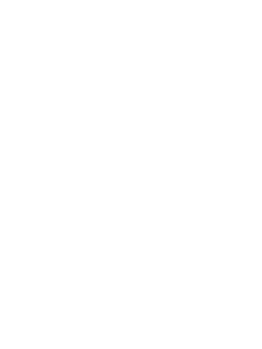 SinnSage