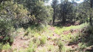 Alex Coal - Lost Without Master - Part 12 - POV BGG