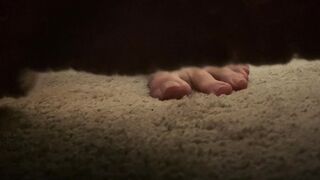 Ms. Tomorrow - Cuck Under The Bed