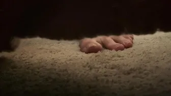 Ms. Tomorrow - Cuck Under The Bed